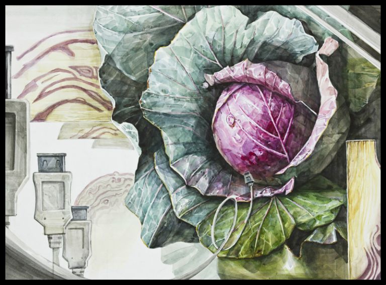 울산디자인그린섬 기초디자인 연구작